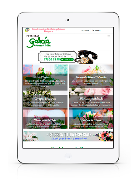 tienda-online-wordpress
