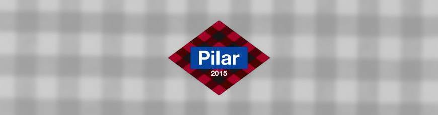 webs refererncia para las fiestas del pilar 2015