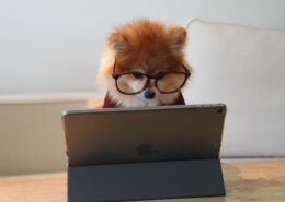 mejorar el rendimiento de tu sitio web