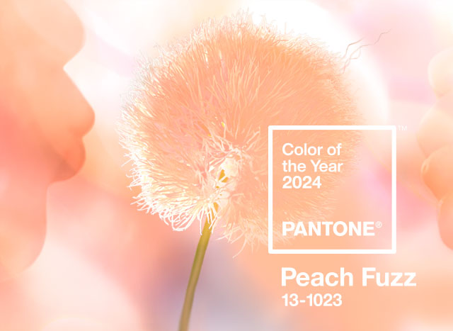 Color Pantone 2024